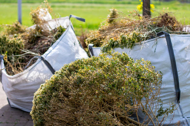 Best Basement Cleanout Services  in Colwich, KS